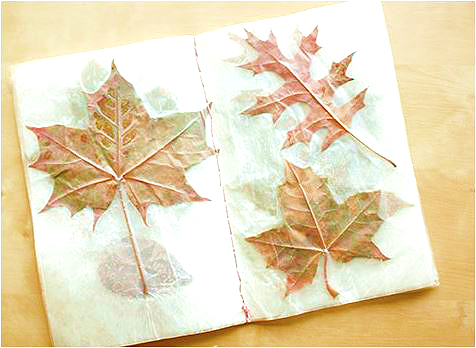 leaves in a book