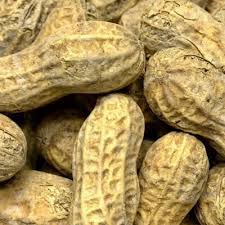 peanuts in the shell
